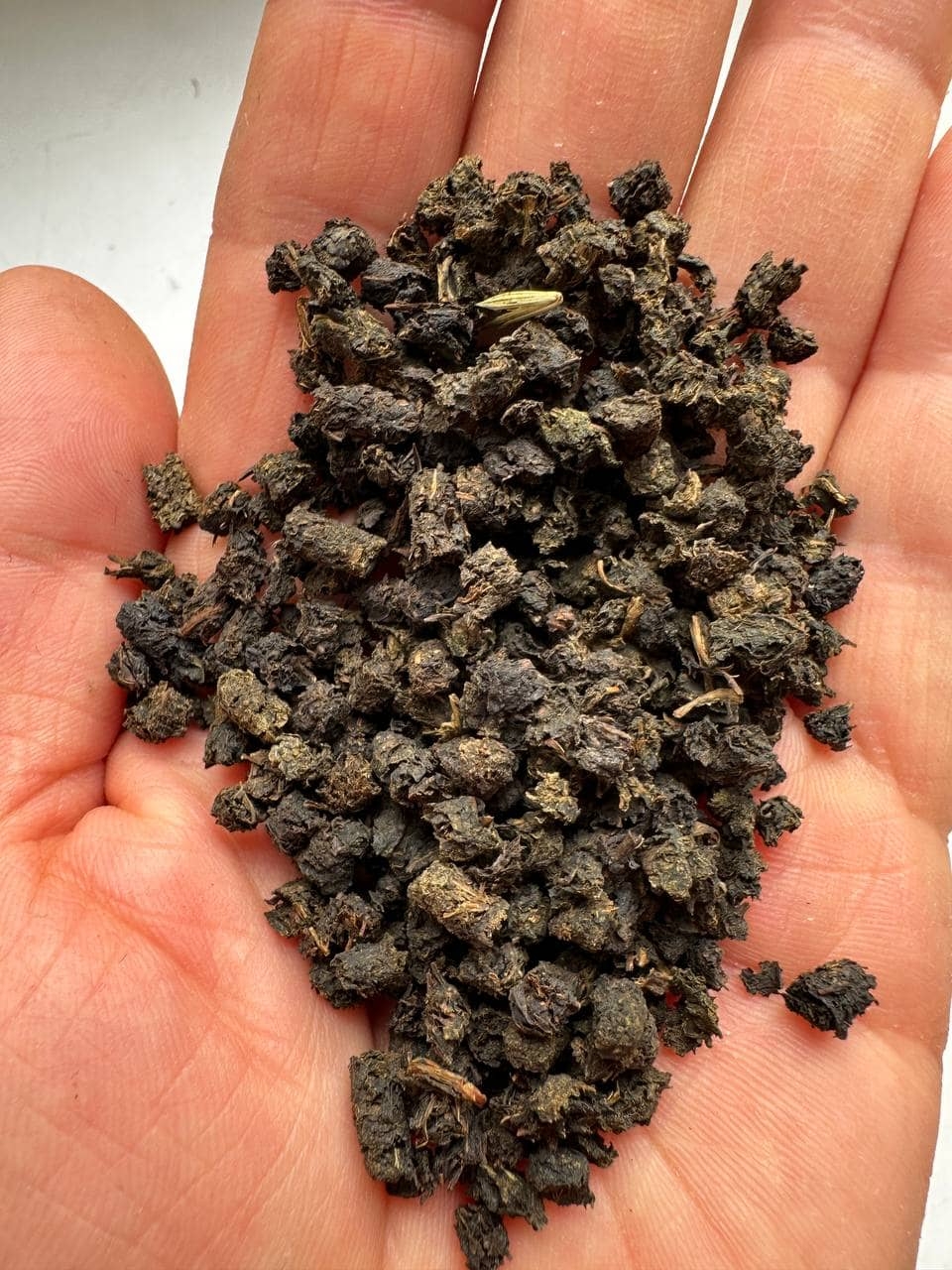 Иван-чай алтайский