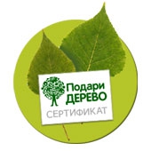 Получите сертификат