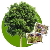 Получите фотографии