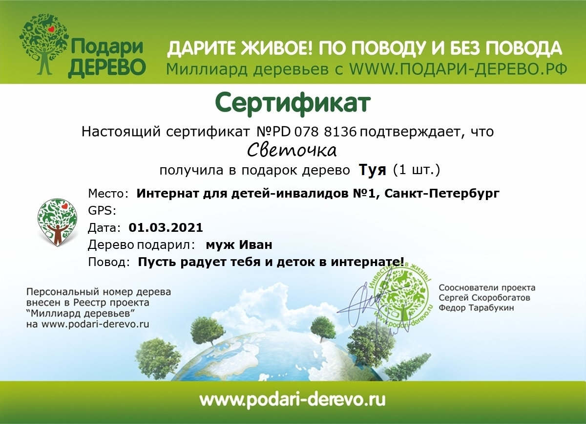 Именной сертификат на посадку туи
