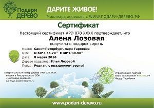 Подарите сирень, а сертификат станет красивым оформлением подарка, который можно вручить